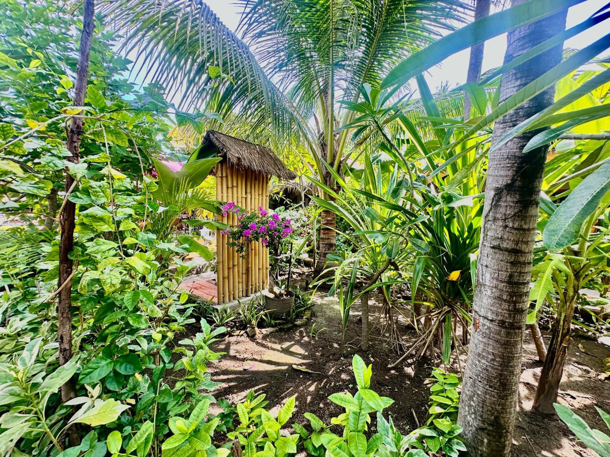 Sunny Rose Bungalows Gili Air - Adults Only Zewnętrze zdjęcie